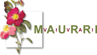 Maurri Vivai Logo