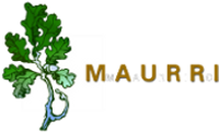 Maurri Mario Logo